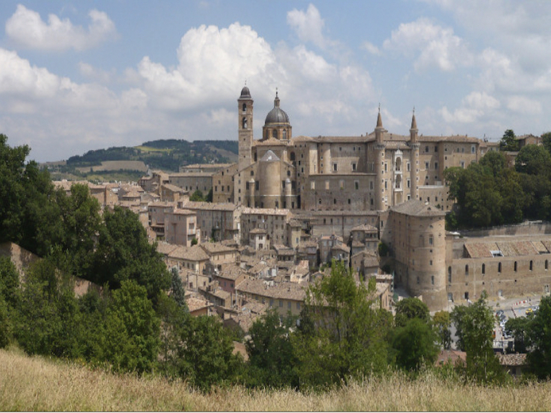 urbino